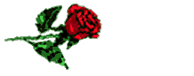 love - thankyou my love
