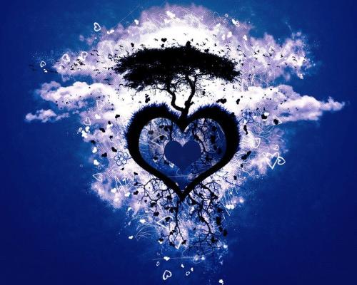 Life and love  - 2 of a kind