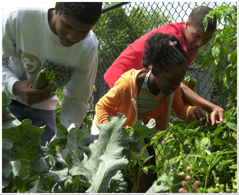 gardening as a hobby - A good exercise!!