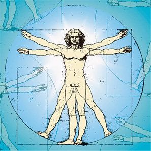 Human Body  - Human Body