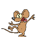 funny - funny mouse