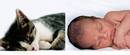 what a comparison - Its kitten and a baby sleeping