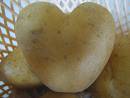 potato - Heart shape