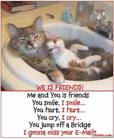 cosy relationship - friendship is a cosy relationship