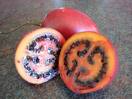 tamarillo - Its abaout size of a plum but longer. red skin and orange flesh and black seeds lined up on this strange way