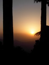 sun set - a nice view of sun set between the trees, really amazing