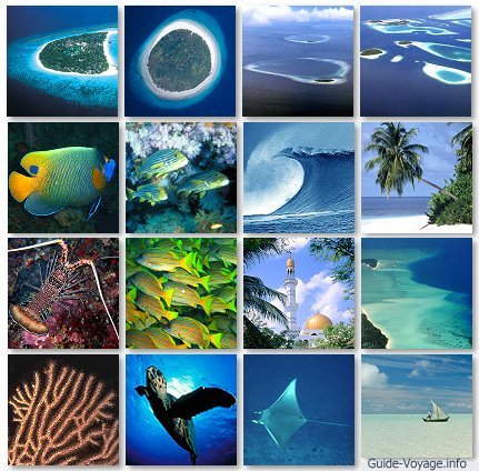 Maldives - would love to go there