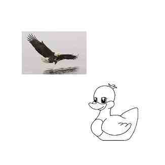 Duck or Eagle - Which Are You?