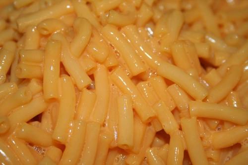 macaroni and cheese - macaroni and cheese pasts