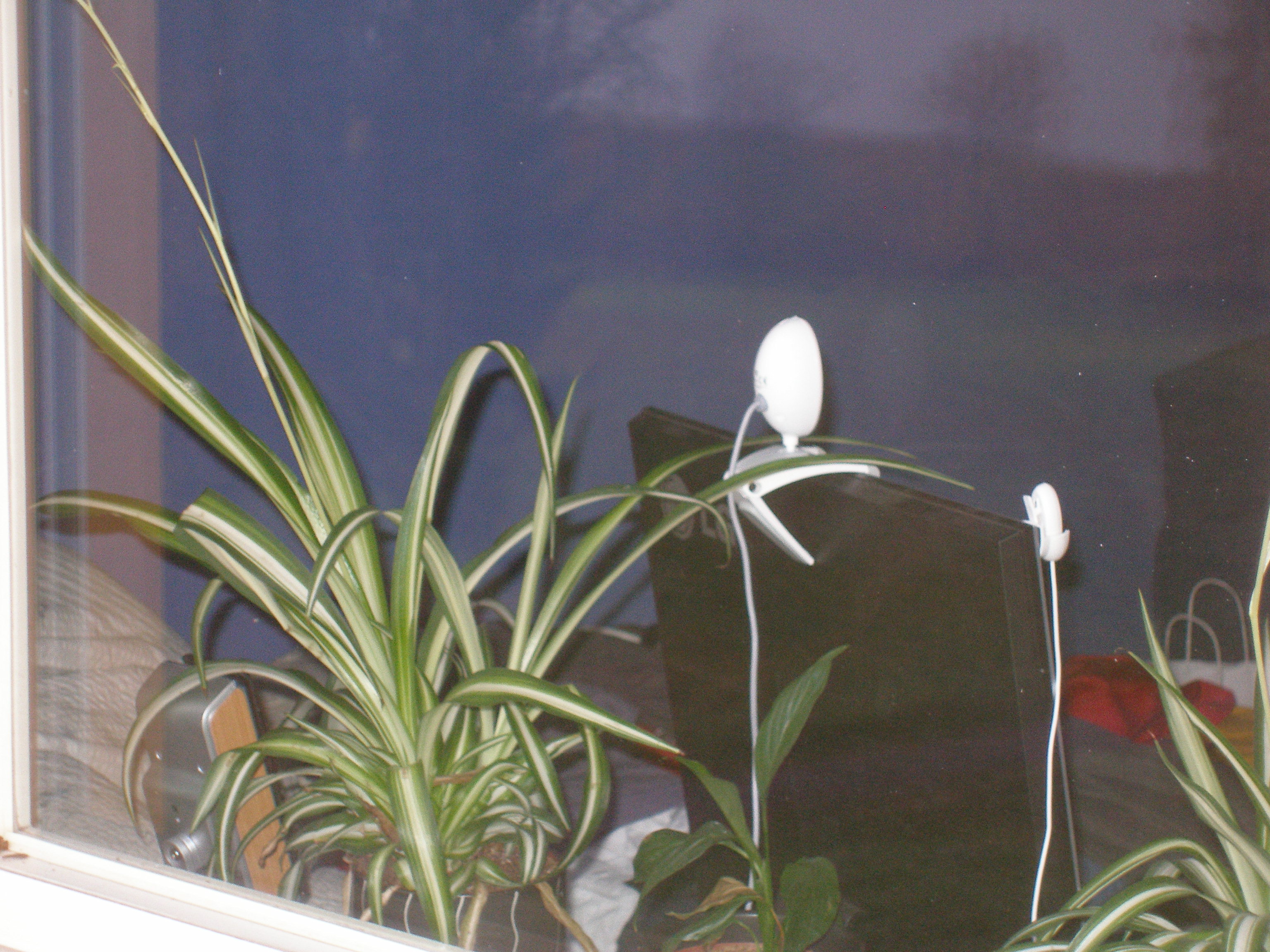 My window from outside, my balcony. - You can see the flowers and the computer screen again! I'm uploading a pic of the view out of my window soon.. beautiful.