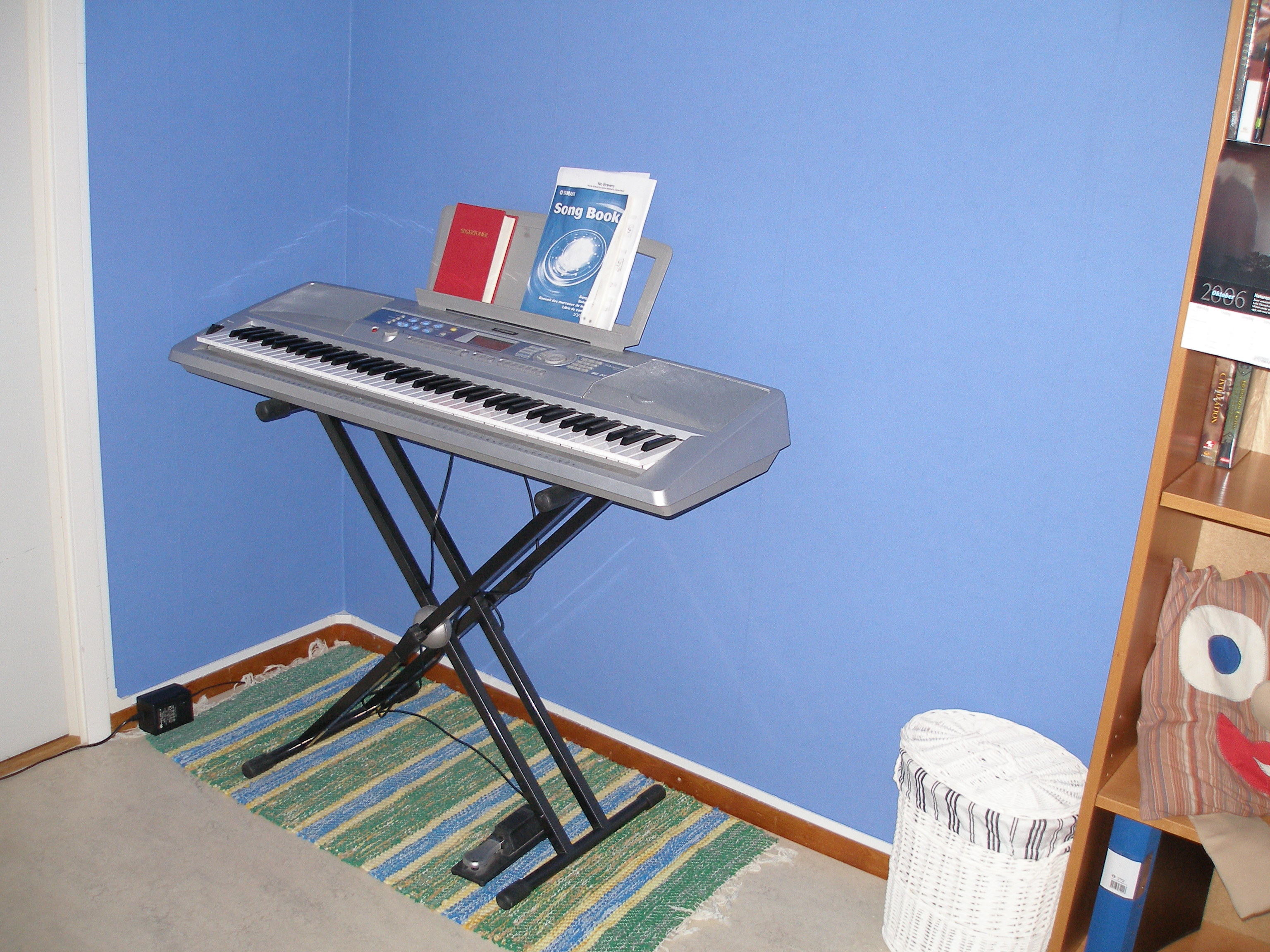 My keyboard in my apartment! - I should play on it more, but it rocks! I only play chords though, but that's fun as well. Would love to learn guitar some day.