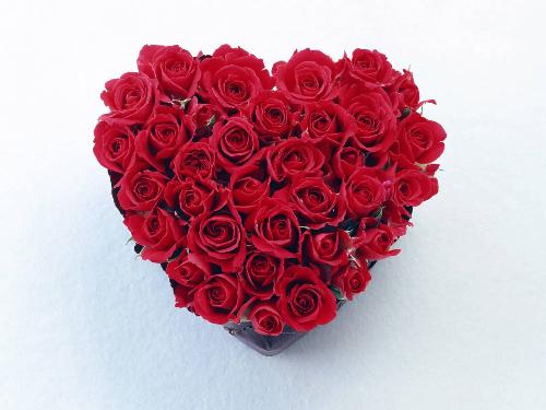 heart of roses - heart made up of red roses.