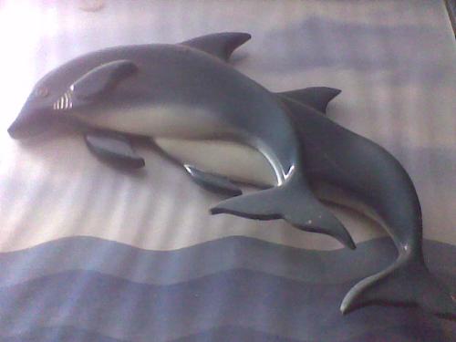 dolphines - dolphine are my most favourite water creatures!!1 they are soooo cute and ofcourse they are intelligent.. i love to watch dolphine movies too..