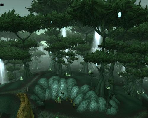 Terrokkar forest - overview of terrokkar forest