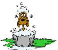 How Much Is The Doggie In The Window - Cute animated doggie.