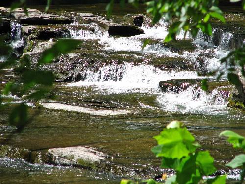 Rolling Creek - This is a creek that is in the back yard of my husband's cousin's home. It was so pretty with the water flowing off of the rocks. I thought the water was a bit cold, but there were so many people swimming in the deep spots. I need to thicken my blood or something. ;)