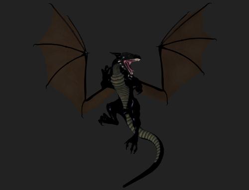 Black Dragon - A 3d black dragon.