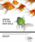 not easy being green - Picture of yellow goldfish against a white backdrop and below them is a green goldfish
