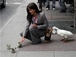 Pickpocket - Pickpocket