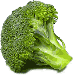 eating vegetables - brocolli vegetable