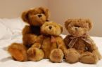teddy bears - cute little teddies!