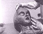 Alien - Research being conducted on an alien
