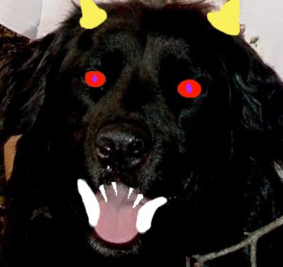 My dog on night of NEW MOON viewed with ultra-viol - Beyond the visisble light spectrum of humans exists a world written about in fiction. On the night of the NEW MOON, when the earth is its most black, technology can reveal the secrets of your animals and the paranormal. Yes, dare I say it, DOGS CAN SEE GHOSTS because that's what the devil's dogs do.