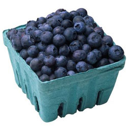 yummy blueberries - the blueberry fruit