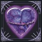 heart - broken heart barb wire