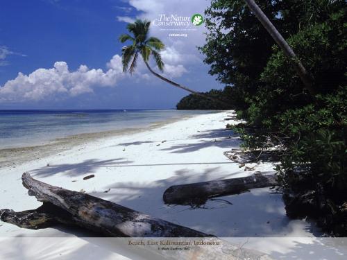 Indonesian beach - Magic of nature