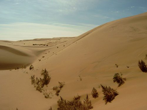 gobi desert - will the world be like that in 100 years ? gobi desert - will the world be like that in 100 years ?