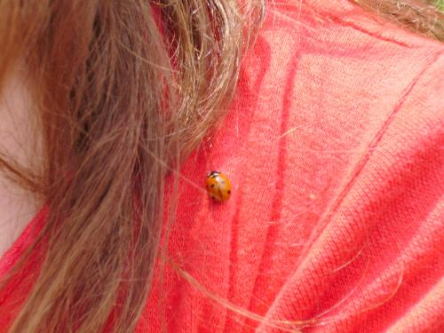 ladybug on her shoulder - I wanted to take a picture of my girlfriend but ended up with this little bug so i decided to immortalize the moment.