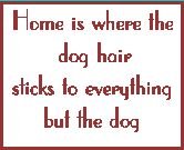 Motto - photo of motto
