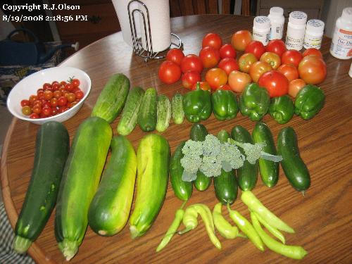 Tuesdays Pickings - A nice little haul of my homegrown veggies from my garden here in Minnesota..