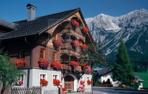 house - flower house.