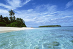 travel - this is the one stop spot to get hotels, car rentals, flights, and activity/ event tickets.