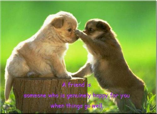 friends - friendship is like a soul dwelling in 2 bodies