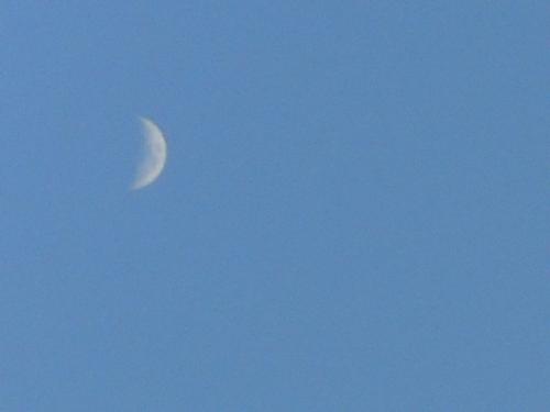 moon - it's about a good day
