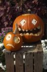 Halloween pumpkins - A photo of a couple of holiday pumpkins.