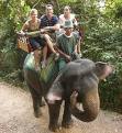 travel - India is an exciting place to travel ...