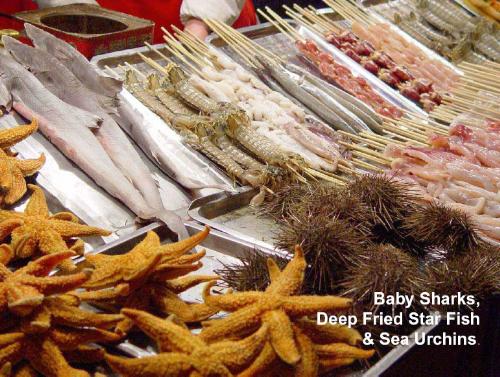 Olympics 2008 Food-Baby sharks, star fish & sea ur - Olympics in Beijing 2008 Food-baby sharks, deep fried star fish & sea urchins