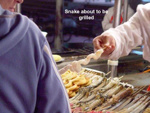 Olympics 2008 Food- Snake about to be grilled - Olympics in Beijing 2008 Food-Snake about to be grilled