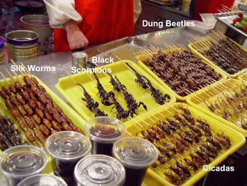 Olympics 2008 food-Silk worms, scorpions, dung bee - Olympics in Beijing 2008 food-Silk worms, scorpions, dung beetles, cicades