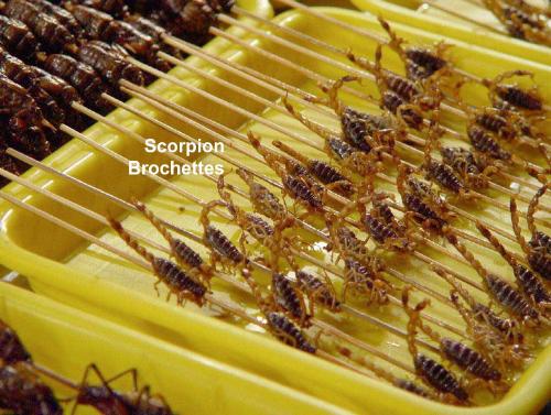 Olympics 2008 food-Scorpion brochettes - Olympics in Beijing 2008 food-Scorpion brochettes