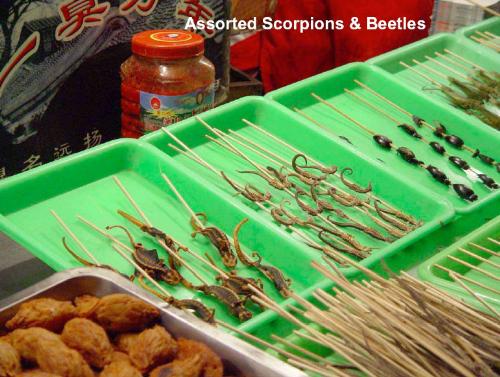 Olympics 2008 food-Assorted scorpions & beetles - Olympics 2008 Beijing food-Assorted scorpions & beetles