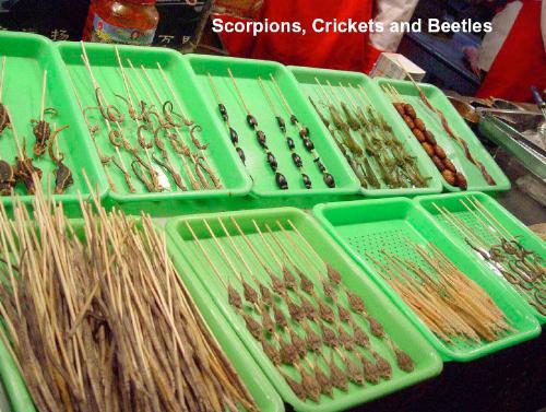 Olympics 2008 food-Scorpions, crickets & beetles - Olympics 2008 Beijing food-Scorpions, crickets & beetles