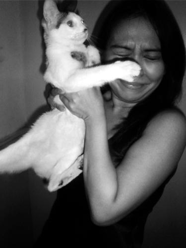 friends - whether your friend is a human or animals its still a friend. here my friend is playing like a model. i dont know if she want to scatch me or shes just posing. hahaha