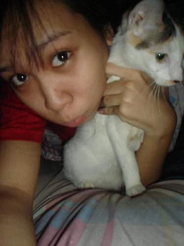 parenting - parenting is not just for human but all so it can be for cats. i love my cat. ive 3 of them. i feed them well. bathe them and love them so much.