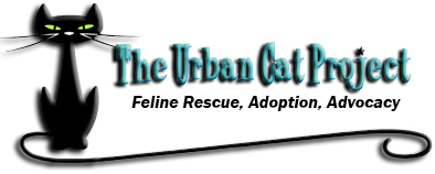 The Urban Cat Project - Logo for The Urban Cat Project. A non profit cat rescue.