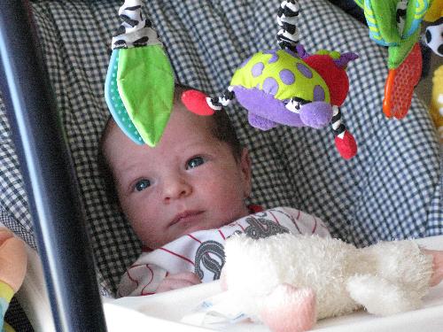 Our Grandson - Isn't he beautiful